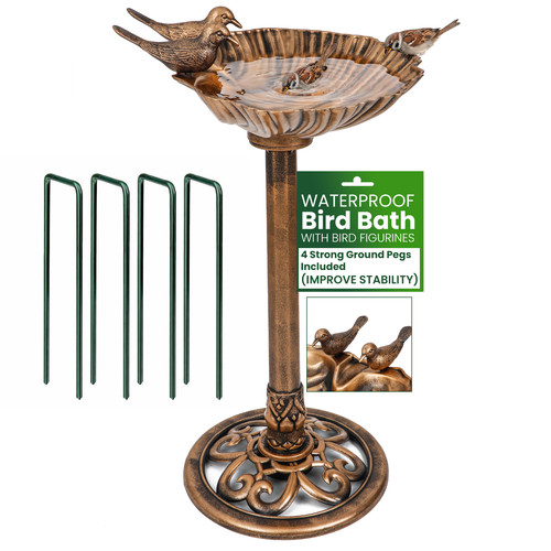 Bird bath with ground - ground, pegs
