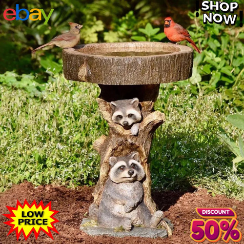 Bird bath feeder - bird,