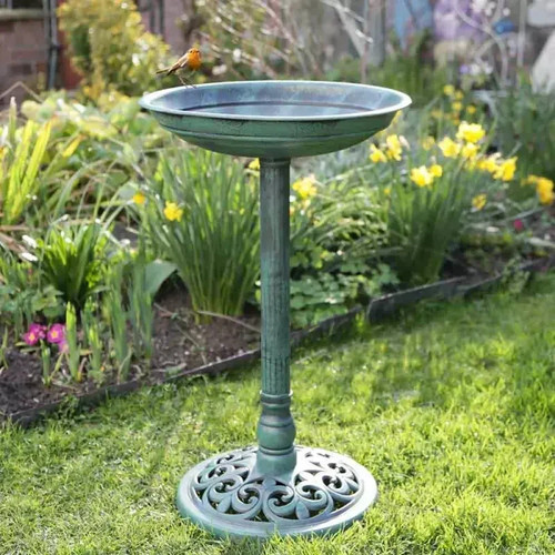 Bird bath feeder - bird,