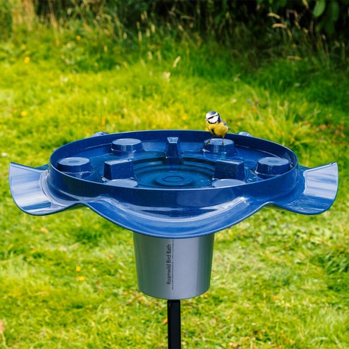 Roamwild contemporary bird - roamwild,