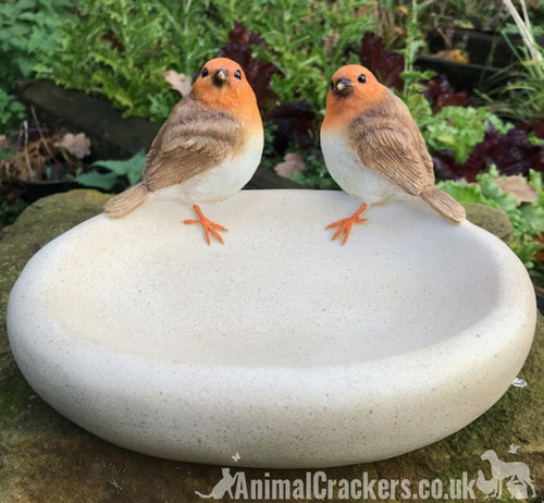 Bird bath feeder bowl - feeder,