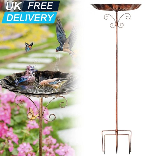Outdoor garden bird - garden,