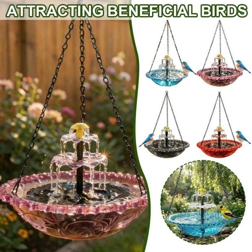 Bird bath fountain outdoor - bird,