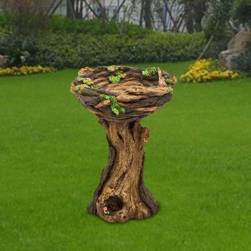 New garden bird - bird, bath