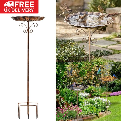 Garden wild bird feeding - bird,
