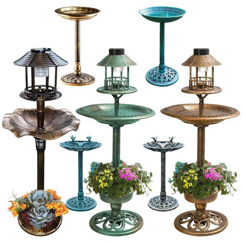 Bird bath feeder bowl - bath,