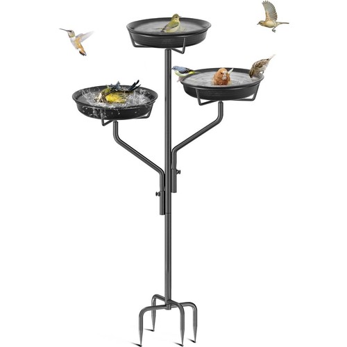 Garden bird bath bowl free - bird,