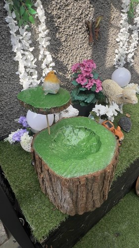 Large bird water bath - water,