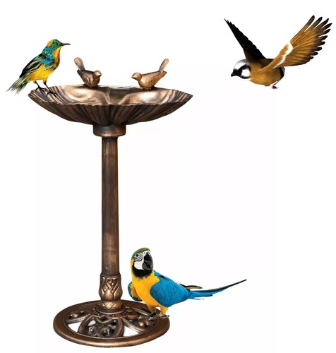 Garden bird bath - bird, feeder