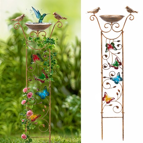 Bird bath with - with, garden