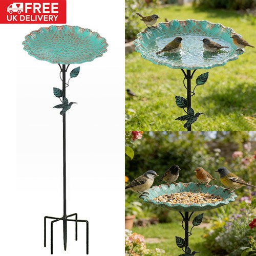 Outdoor garden bird - garden,